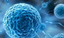 做试管婴儿怎么确定自己需要多少钱？