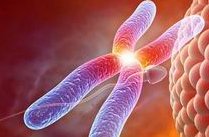 潍坊助孕公司联系电话一览-潍坊助孕机构联系方式大全