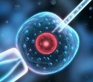 28天三代试管婴儿缩小手术成功率高吗？