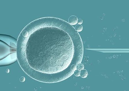 2026年在鞍山市妇儿医院做三代试管可以吗？大概要花费多少钱？