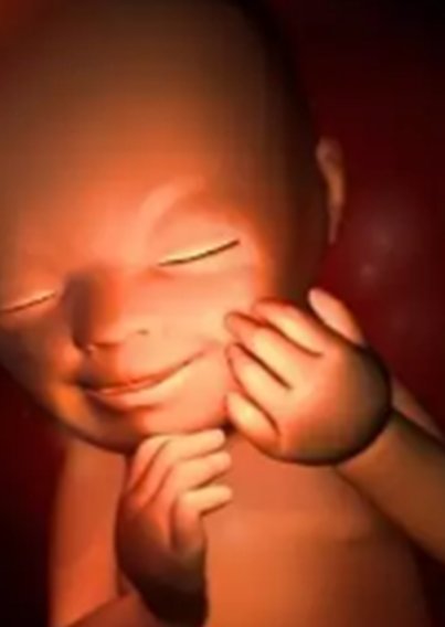 北京试管婴儿医院费用一览，权威机构详细解析价格及流程